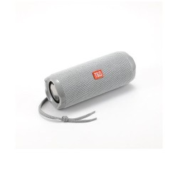 COLUNA DE SOM PORTÁTIL T&G TG-191 AUX/USB/CARTÃO DE MEMORIA PRATA COLUNA DE SOM PORTÁTIL T&G TG-191 AUX/USB/CARTÃO DE MEMORIA PRATA